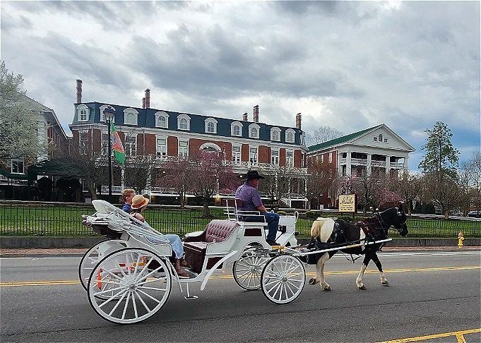 Horse and Carriage