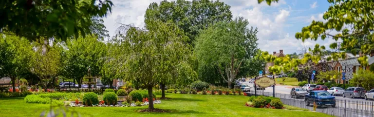 The Martha landscaping